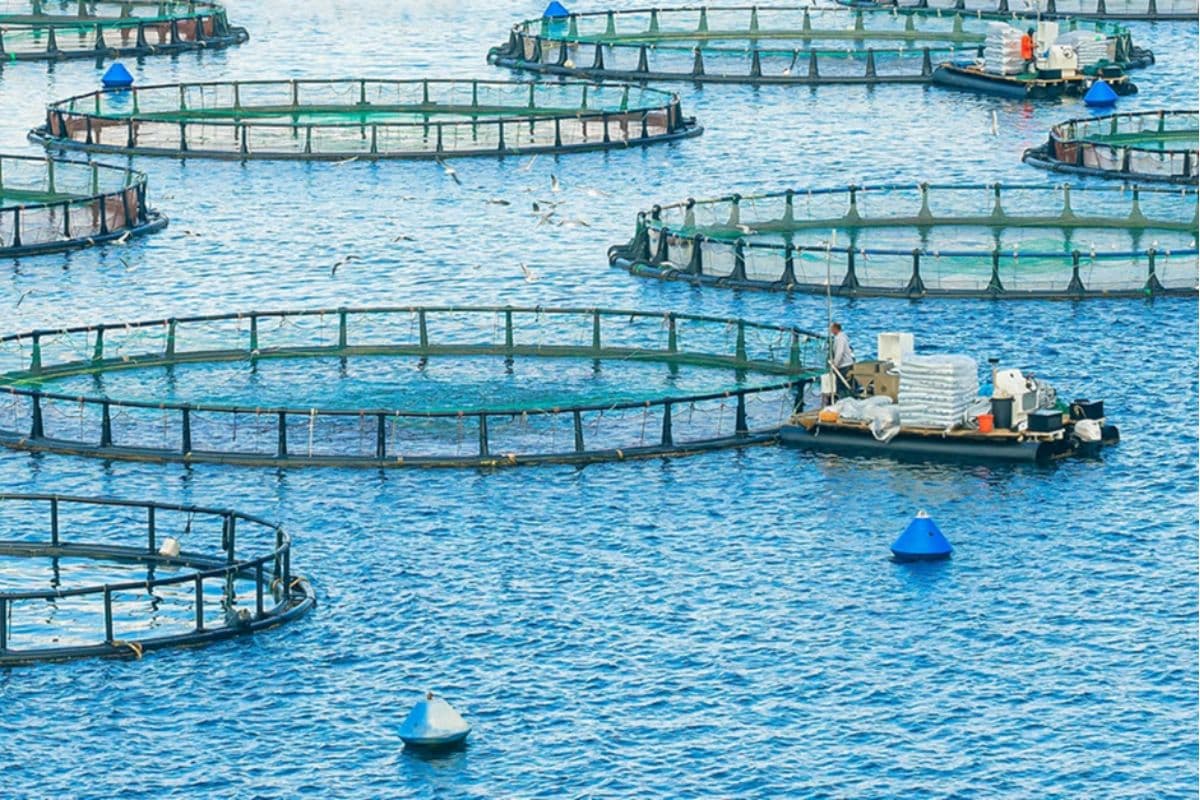 Closed farming system