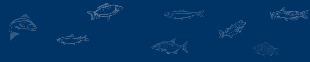 background illustration